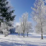 Waldsee Golf-resort Бад-Вальдзее